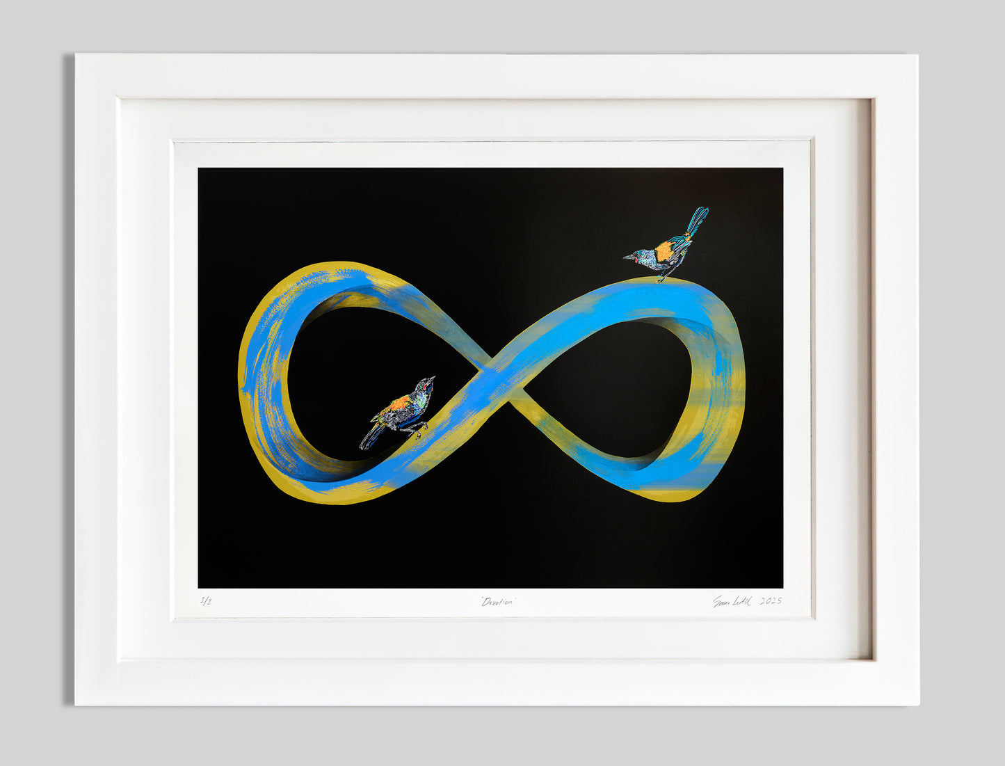Infinity symbol with birds on a black background in a white frame