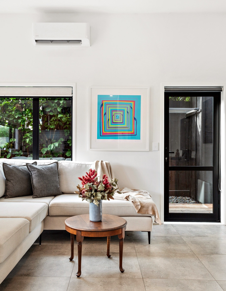 Tui at my window homeshot