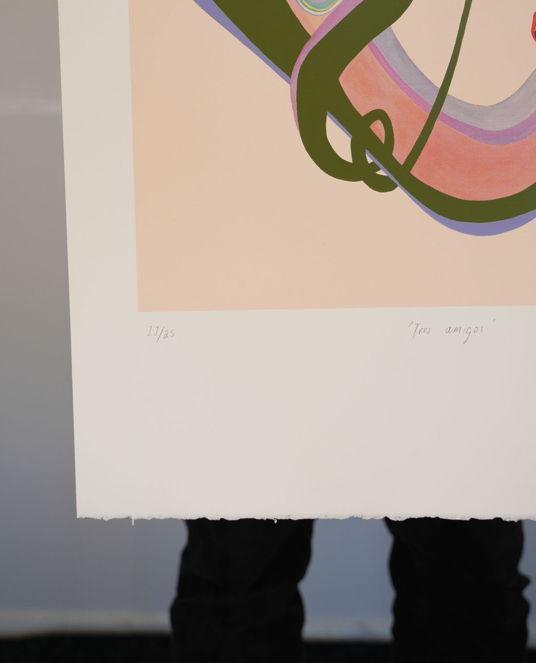 Accessible Yet Collectible Contemporary New Zealand Art Prints — Where to Look