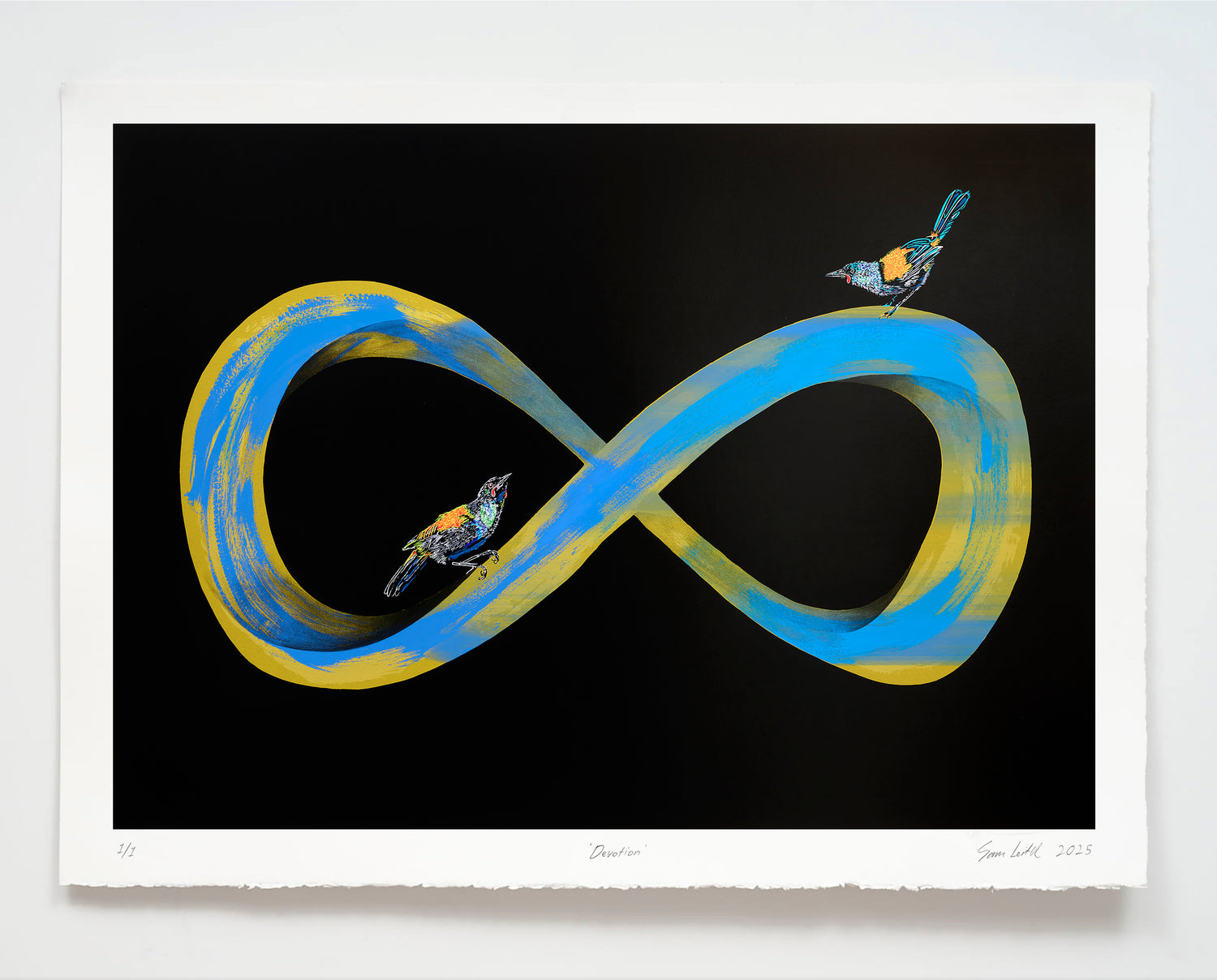 Infinity symbol with birds on a black background
