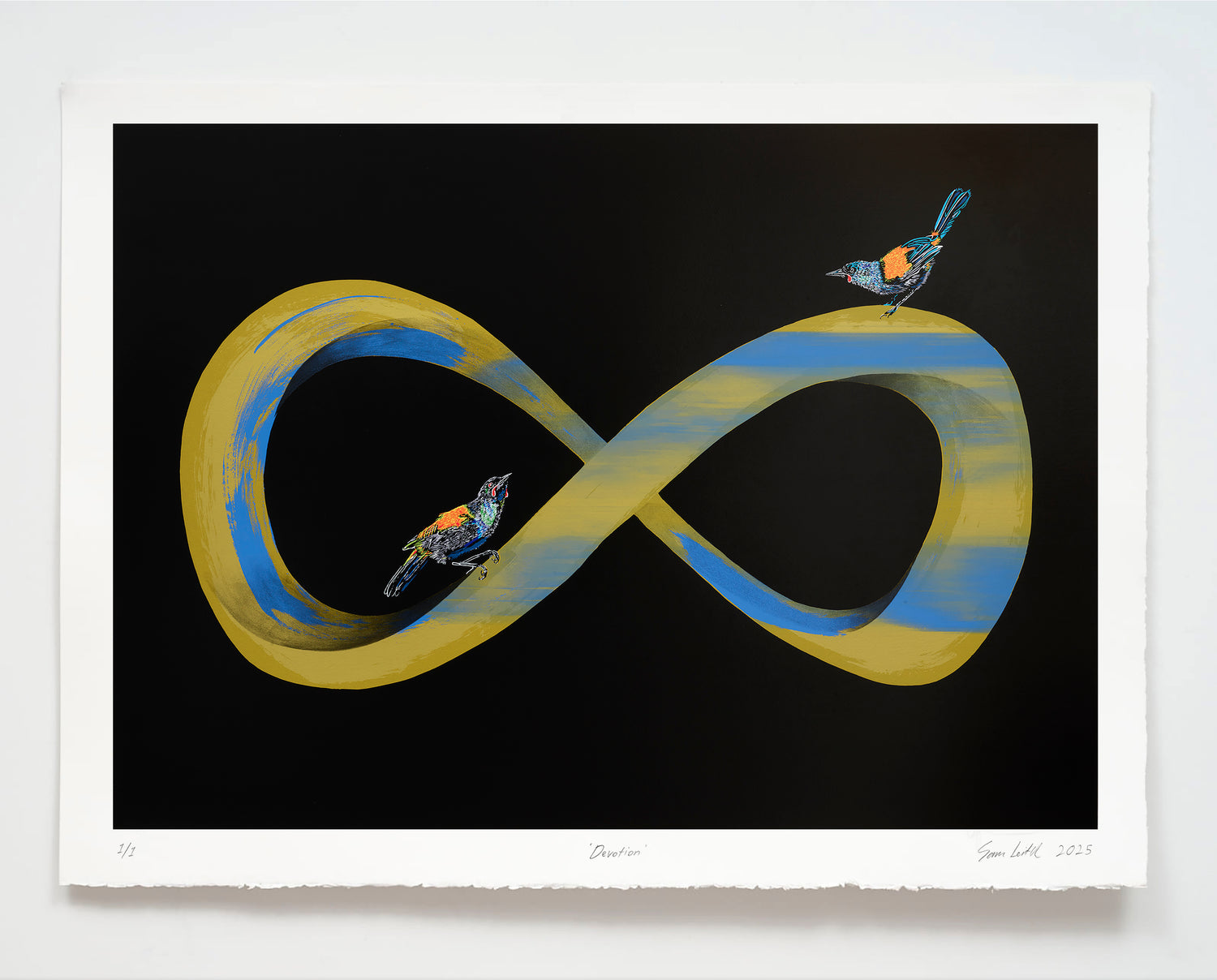 Infinity symbol with birds on a black background