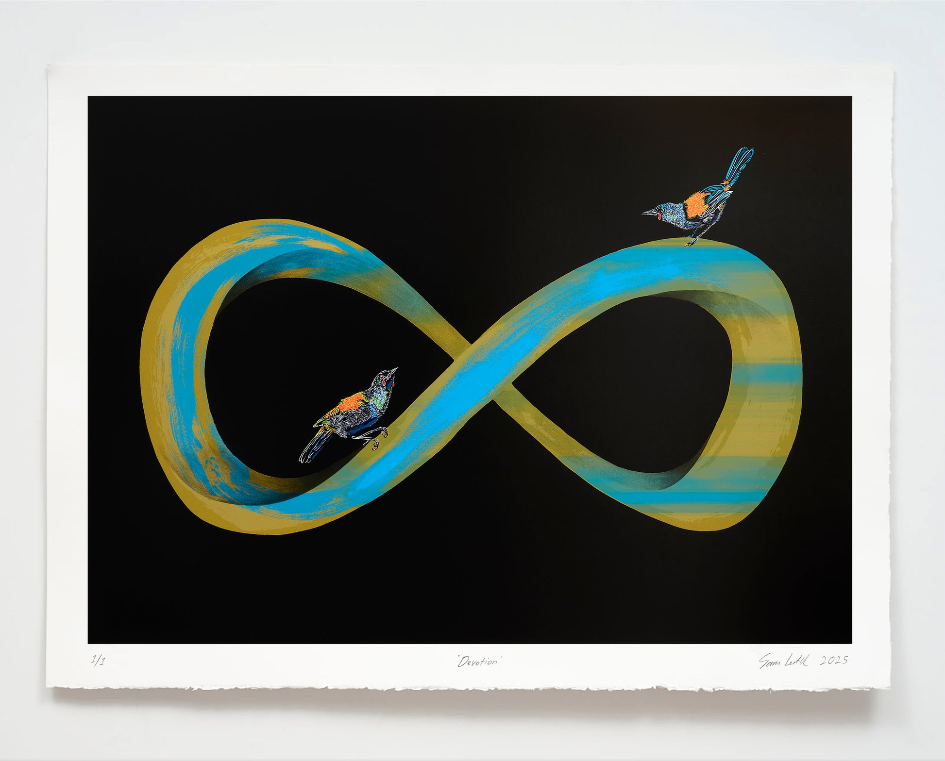 Infinity symbol with birds on a black background
