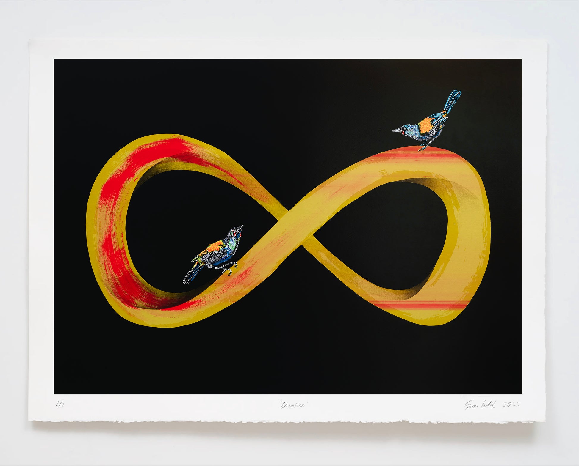 Infinity symbol with birds on a black background