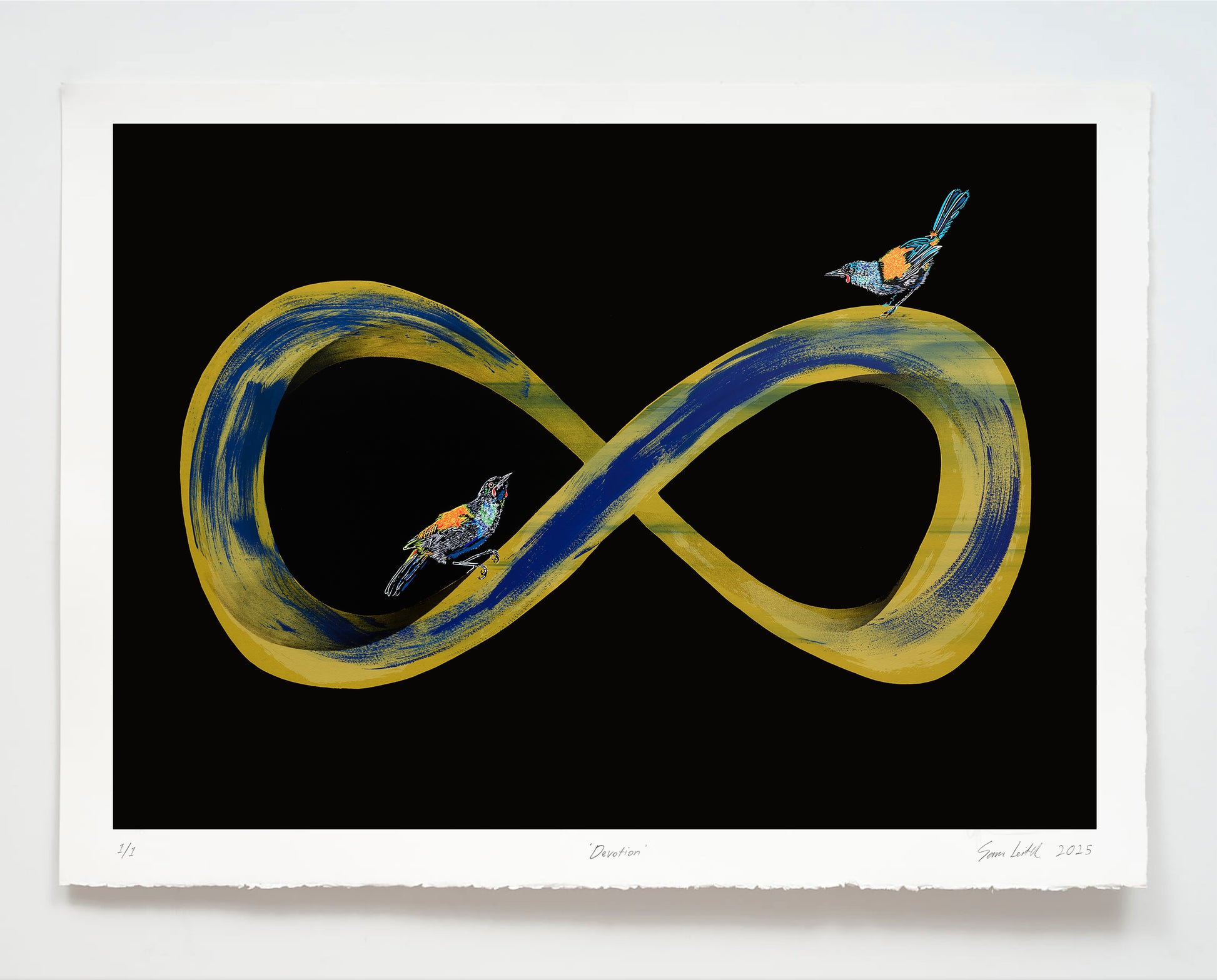 Infinity symbol with birds on a black background