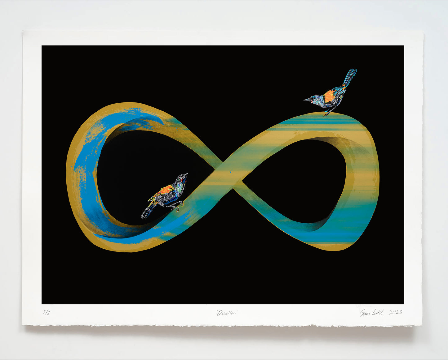 Infinity symbol with birds on a black background