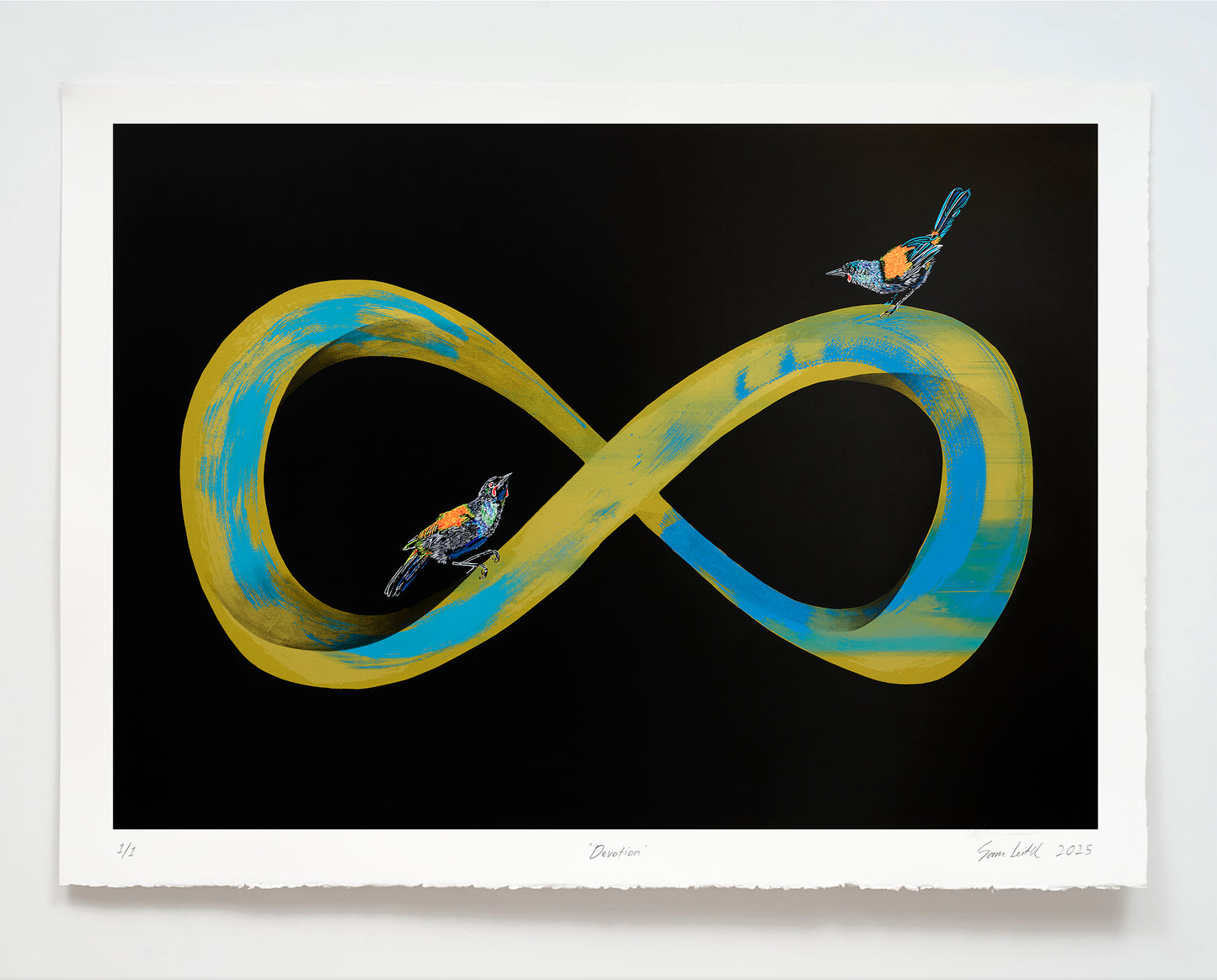 Infinity symbol with birds on a black background