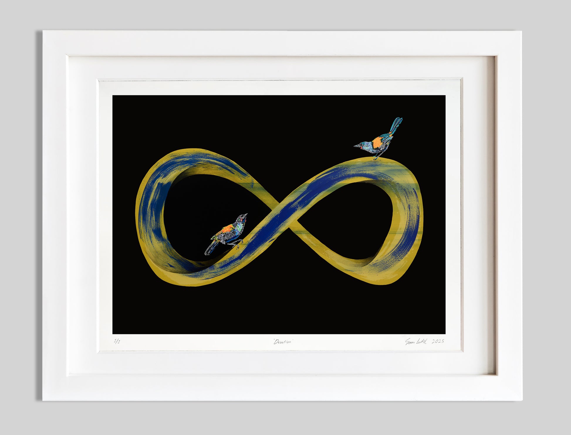 Gold and dark blue infinity symbol with two tieke birds perched on it. Black background with white frame