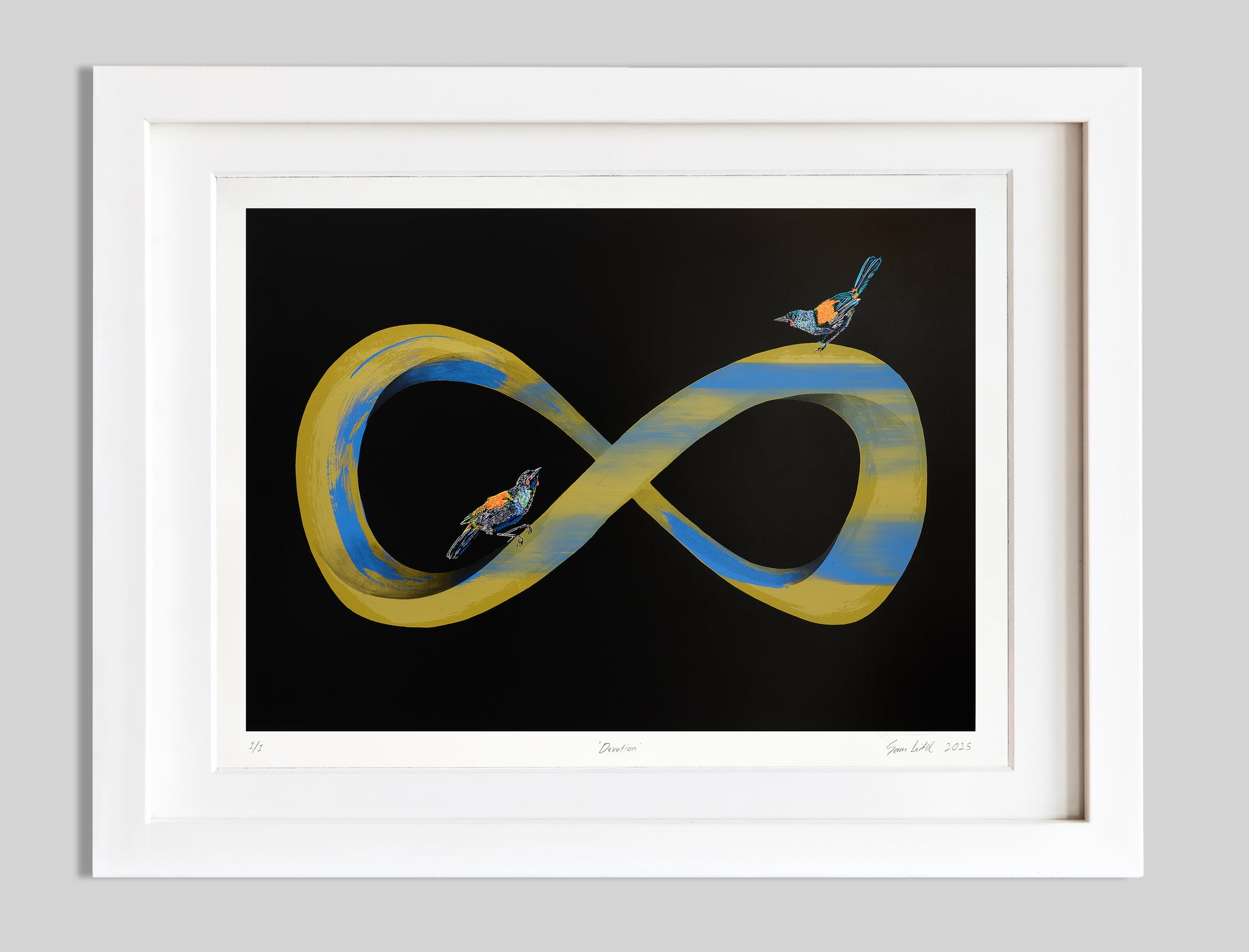Golden infinity symbol with light mauve colour and two tieke birds perched on it. Black background and situated in a white frame