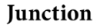 The word 'Junction' in a black serif typeface on a plain white background.